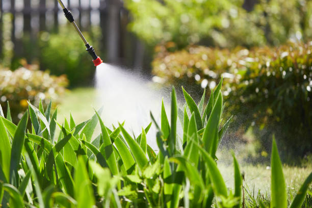 24/7 Emergency Fumigation Services experts in Olmos Park, TX
