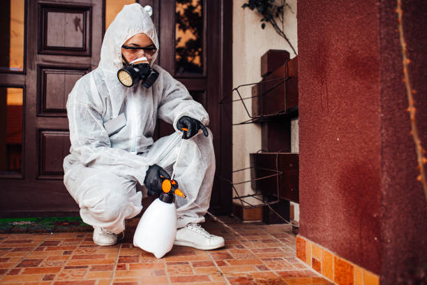 Reliable Fumigation Services contractor in Olmos Park, TX by Nex Pest Control