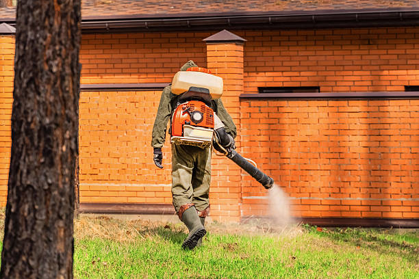 Trusted Termite Control service in Olmos Park, TX - Nex Pest Control